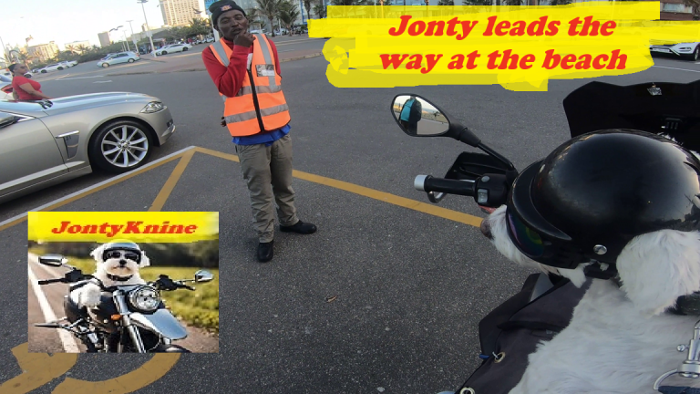 jonty-leads-the-way at the beach