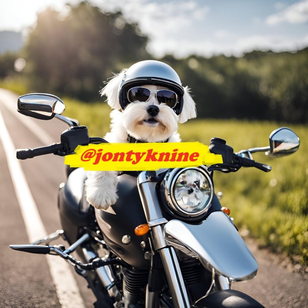 Visit Jonty knine