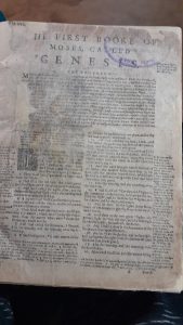 geneva breeches bible 1599