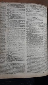 geneva breeches bible 1599