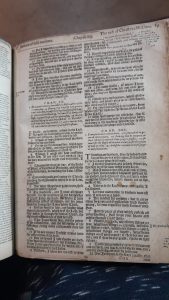 geneva breeches bible 1599