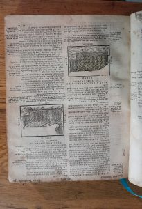 geneva breeches bible 1599