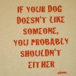 if you dog