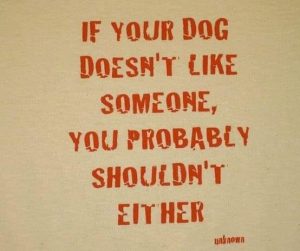 if you dog