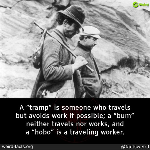 tramp or hobo